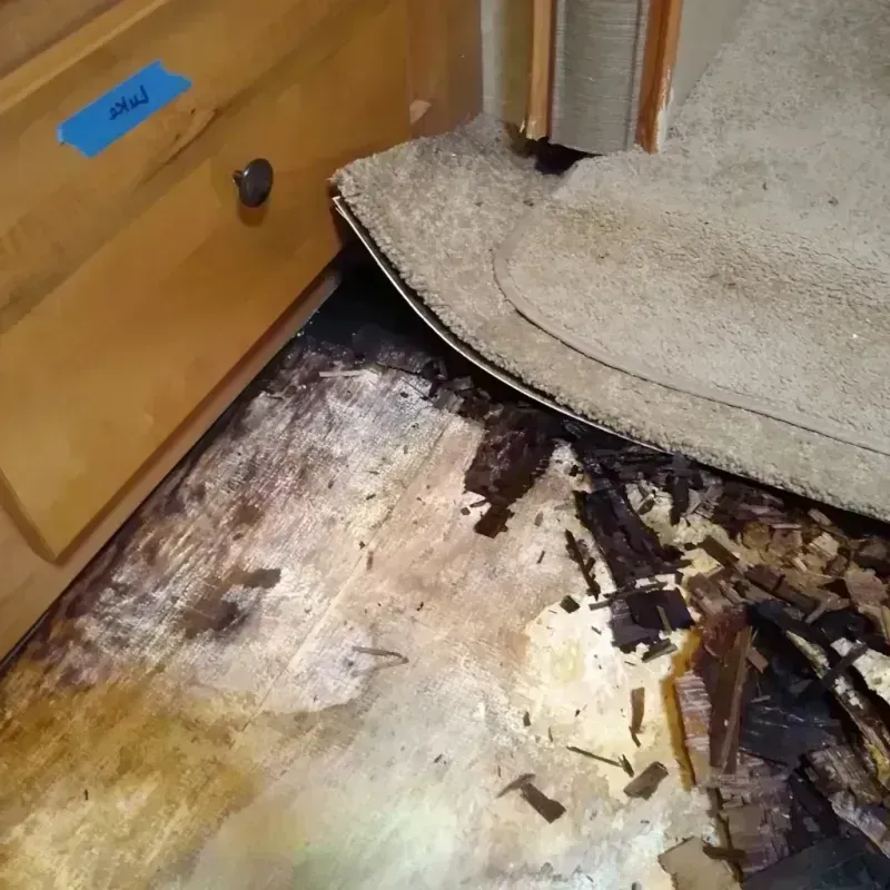 Wood Floor Water Damage in Skokie, IL